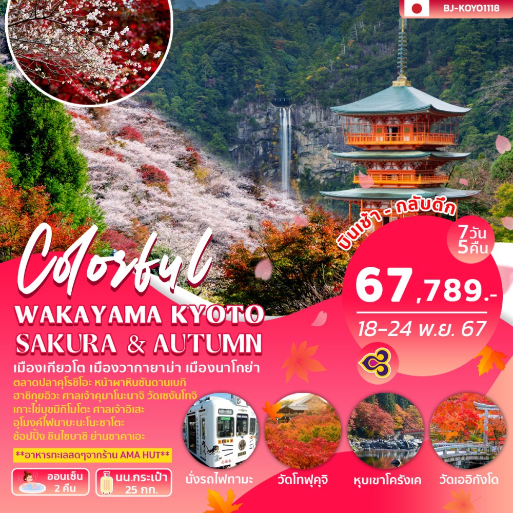 ทัวร์ญี่ปุ่น COLORFUL WAKAYAMA KYOTO SAKURA & AUTUMN 7วัน 5คืน (TG)