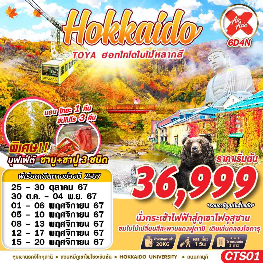 ทัวร์ญี่ปุ่น HOKKAIDO TOYA ฮอกไกโดใบไม้หลากสี 6วัน 4คืน (XJ)